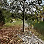 Zur Bugspitze