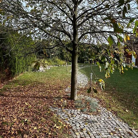 Zur Bugspitze