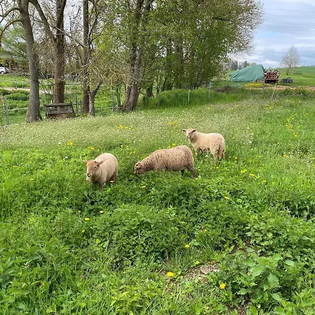 아파트 Zur Bugspitze